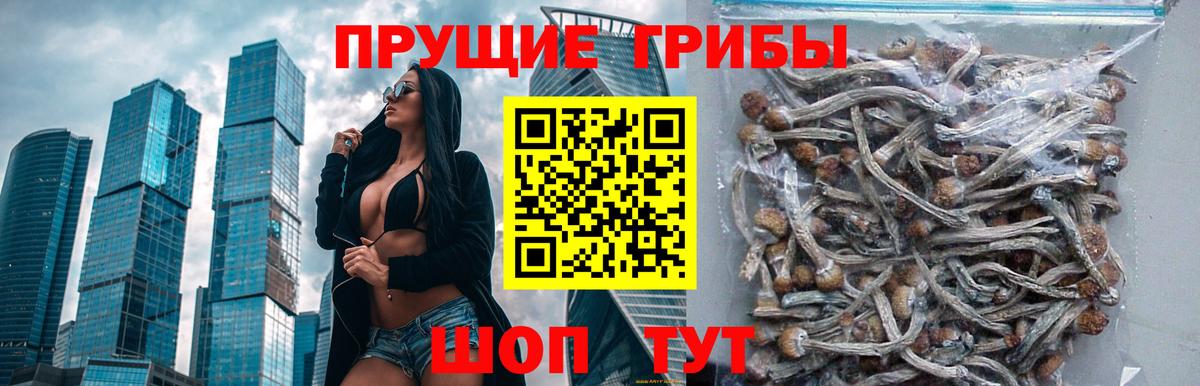 Псилоцибиновые грибы ЛСД  Галлюциногенные грибы Magic Shrooms  Вход с VPN  Усинск 